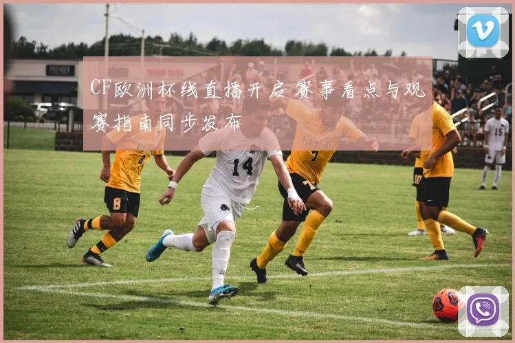 CF欧洲杯线直播开启 赛事看点与观赛指南同步发布